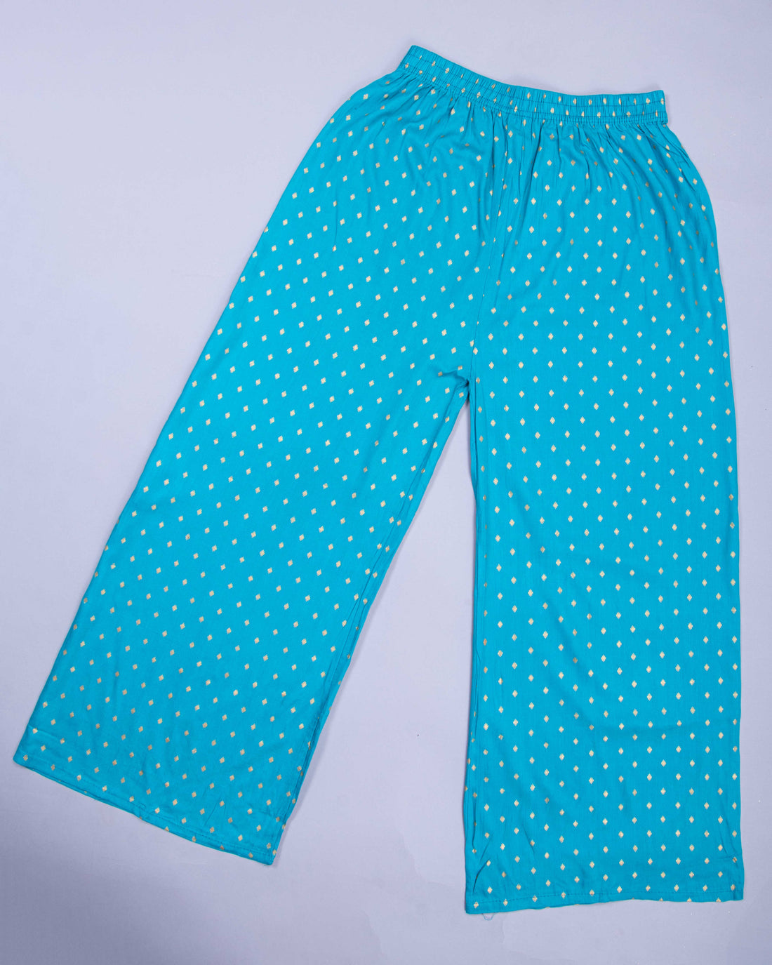 Sky Blue Colour Womens Palazzo