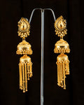 Gold Colour Plated Earrings