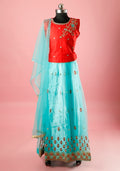 Red & Blue Colour Embroidered Kids Choli